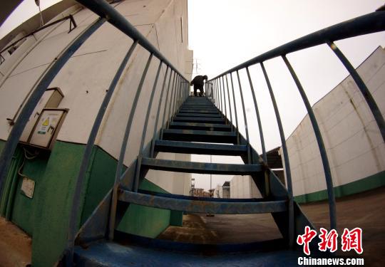 中央儲備糧江西泰和直屬庫有限公司保管員在倉庫巡查。　王昊陽 攝